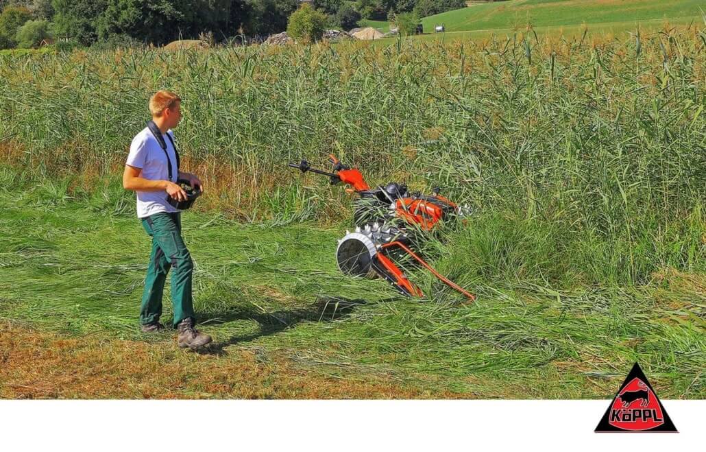 Köppl Gekko | 23pk benzine